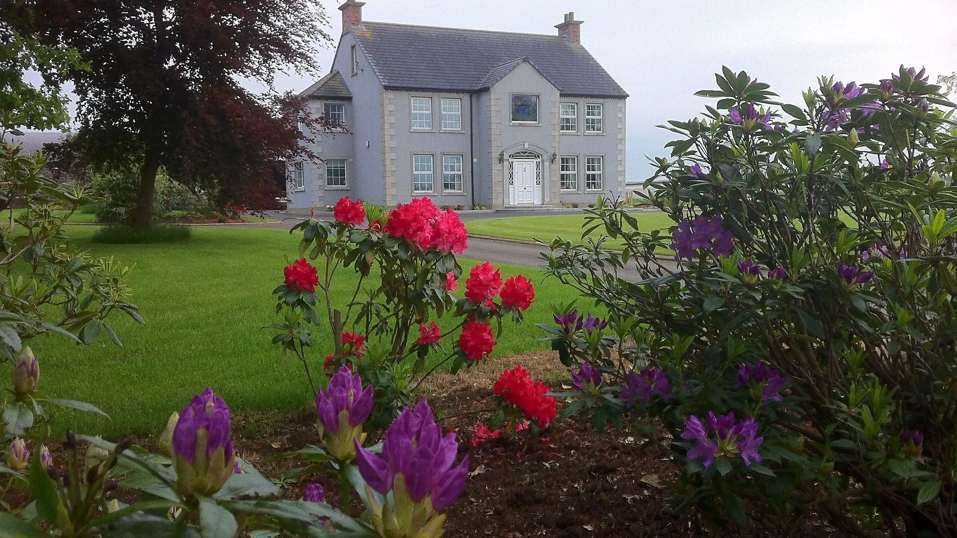 2 Best-Rated Hotels Near Fountain Snooker for Easy Antrim Access